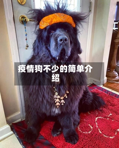 疫情狗不少的简单介绍-第2张图片