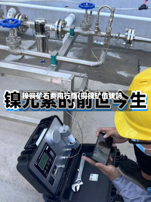 镍铜矿石费用行情(铜镍矿值钱吗)-第2张图片