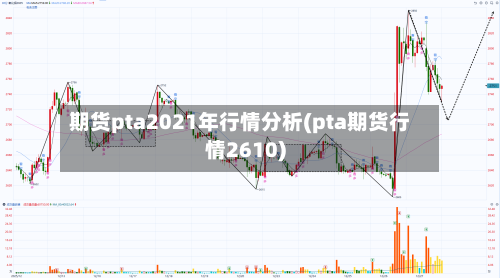期货pta2021年行情分析(pta期货行情2610)-第3张图片