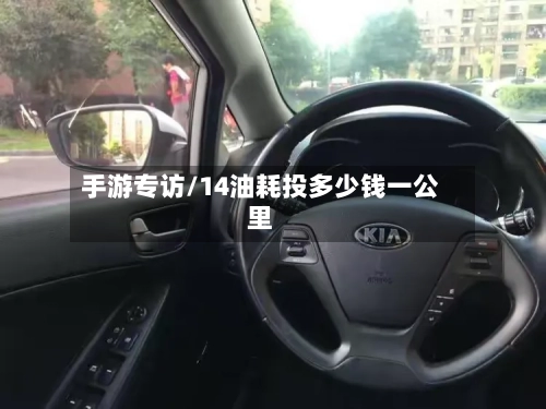手游专访/14油耗投多少钱一公里-第2张图片