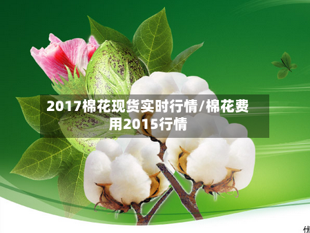 2017棉花现货实时行情/棉花费用2015行情-第2张图片