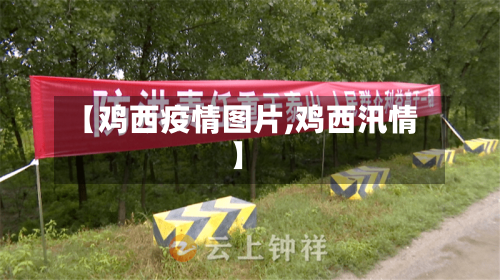 【鸡西疫情图片,鸡西汛情】