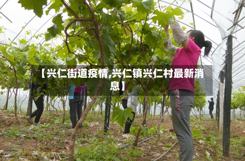 【兴仁街道疫情,兴仁镇兴仁村最新消息】-第2张图片