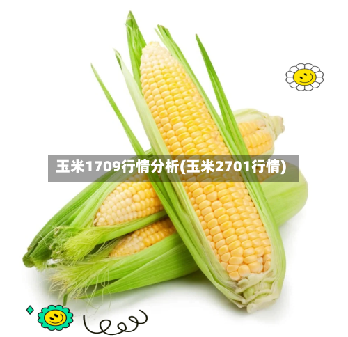 玉米1709行情分析(玉米2701行情)-第3张图片