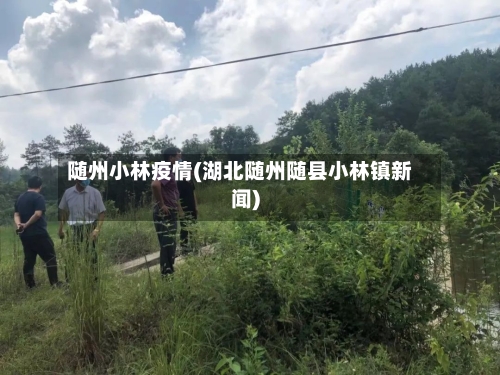 随州小林疫情(湖北随州随县小林镇新闻)-第2张图片