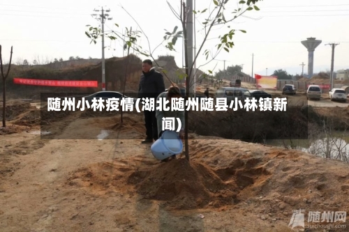 随州小林疫情(湖北随州随县小林镇新闻)
