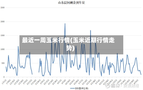 最近一周玉米行情(玉米近期行情走势)-第2张图片