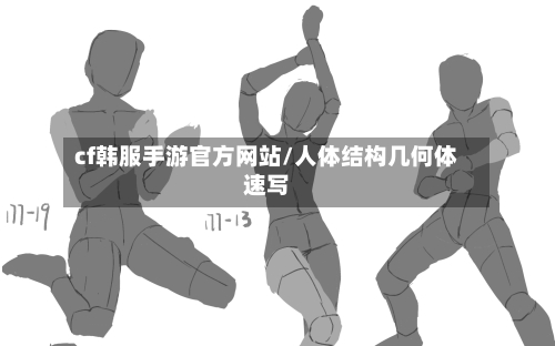 cf韩服手游官方网站/人体结构几何体速写