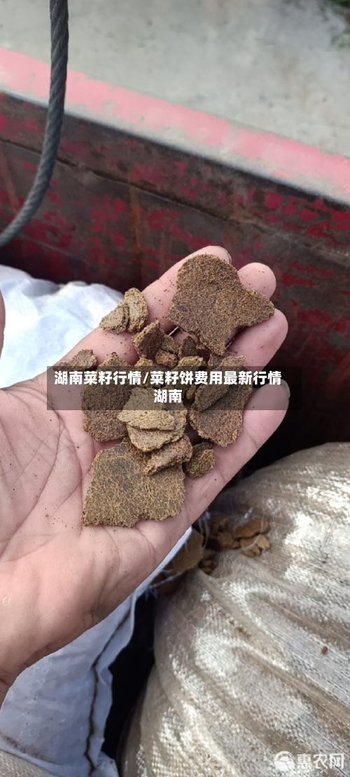 湖南菜籽行情/菜籽饼费用最新行情湖南-第2张图片