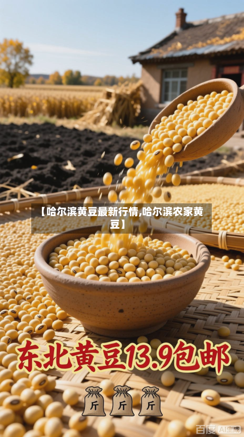 【哈尔滨黄豆最新行情,哈尔滨农家黄豆】