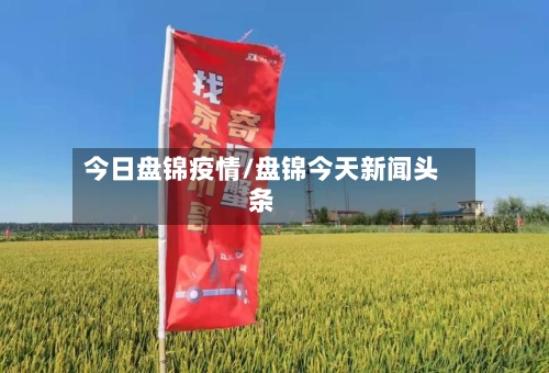今日盘锦疫情/盘锦今天新闻头条-第3张图片