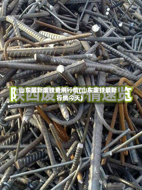 山东最新废铁费用行情(山东废铁最新行情今天)-第2张图片