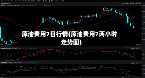 原油费用7日行情(原油费用7两小时走势图)-第3张图片