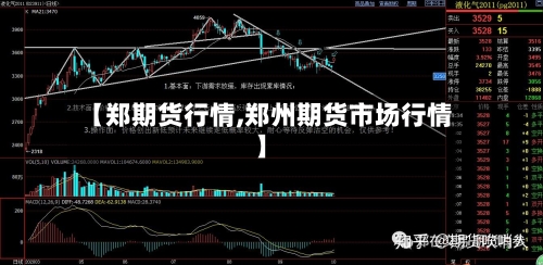 【郑期货行情,郑州期货市场行情】-第2张图片