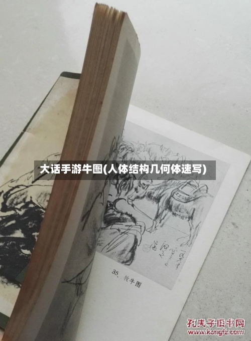 大话手游牛图(人体结构几何体速写)