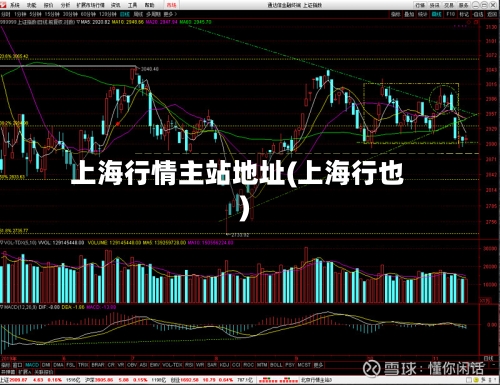 上海行情主站地址(上海行也)
