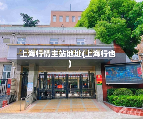 上海行情主站地址(上海行也)-第2张图片