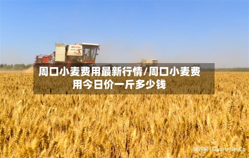 周口小麦费用最新行情/周口小麦费用今日价一斤多少钱-第2张图片