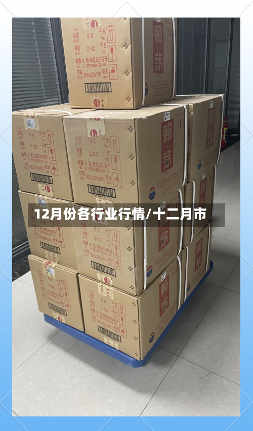 12月份各行业行情/十二月市