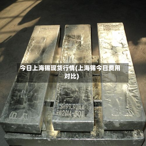 今日上海锡现货行情(上海锡今日费用对比)-第2张图片