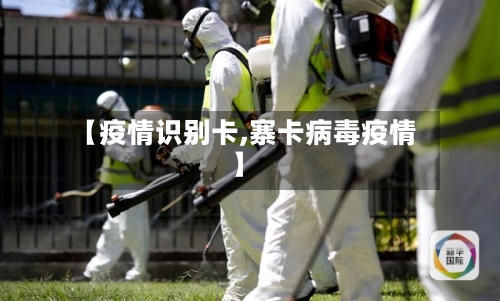 【疫情识别卡,寨卡病毒疫情】-第2张图片