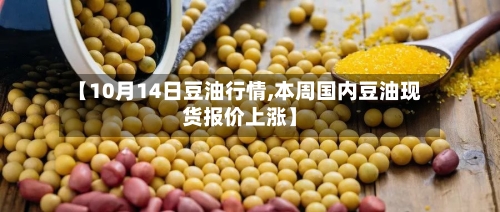 【10月14日豆油行情,本周国内豆油现货报价上涨】