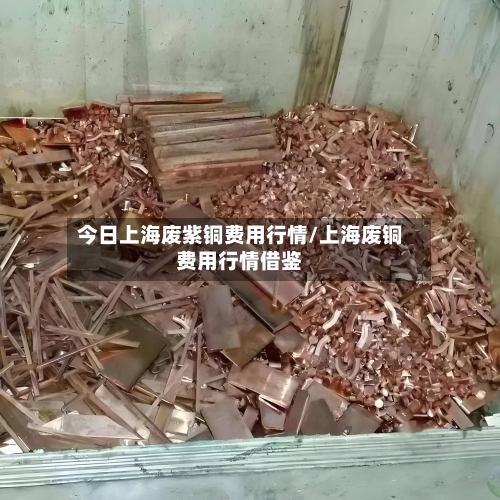 今日上海废紫铜费用行情/上海废铜费用行情借鉴