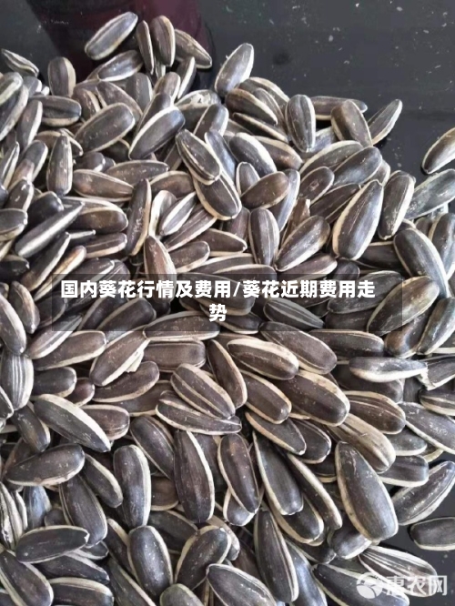 国内葵花行情及费用/葵花近期费用走势