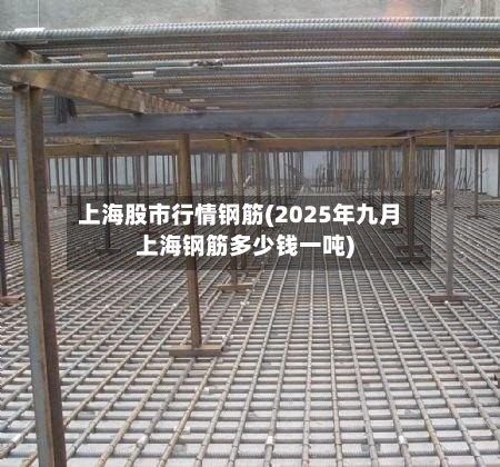 上海股市行情钢筋(2025年九月上海钢筋多少钱一吨)-第2张图片