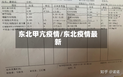 东北甲亢疫情/东北疫情最新-第3张图片
