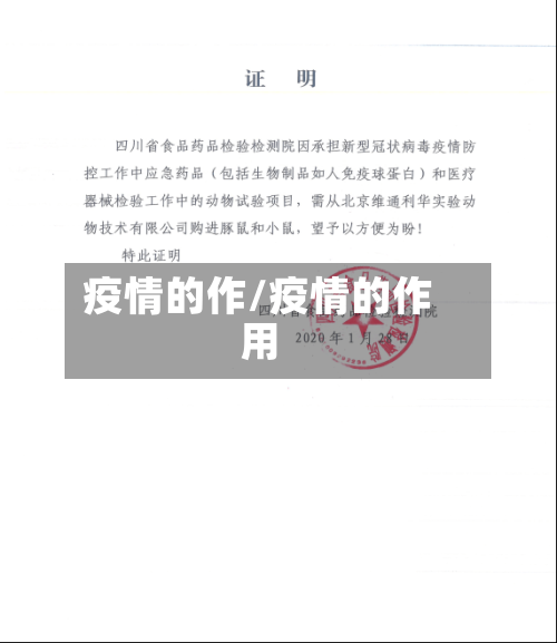 疫情的作/疫情的作用-第2张图片
