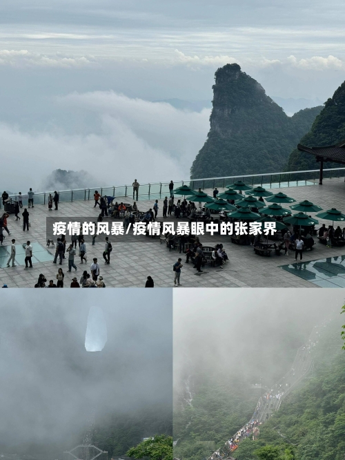 疫情的风暴/疫情风暴眼中的张家界