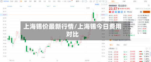上海锡价最新行情/上海锡今日费用对比-第3张图片