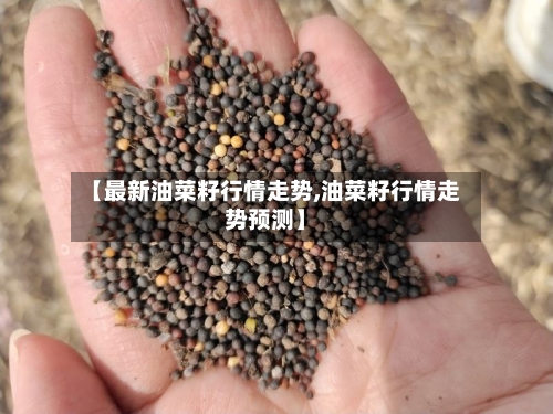 【最新油菜籽行情走势,油菜籽行情走势预测】-第2张图片