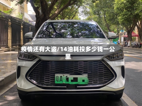 疫情还有大盗/14油耗投多少钱一公里