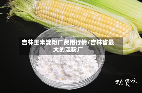 吉林玉米淀粉厂费用行情/吉林省最大的淀粉厂