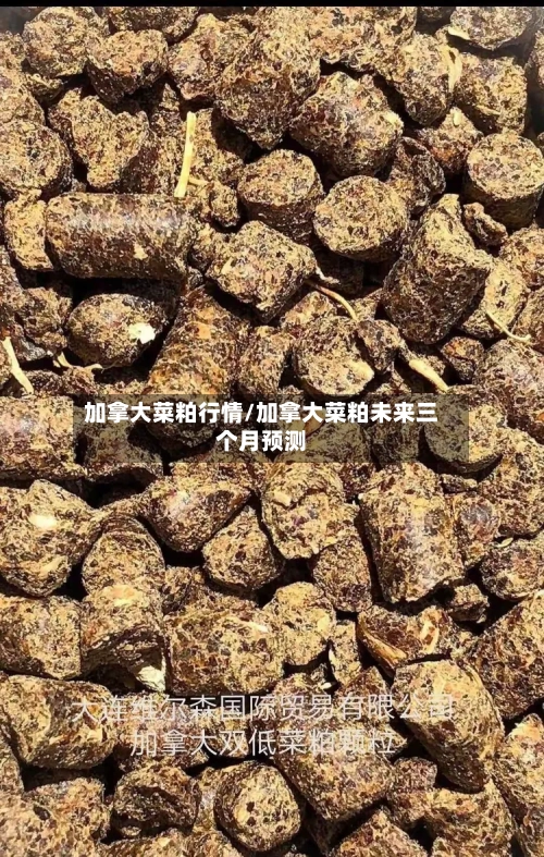 加拿大菜粕行情/加拿大菜粕未来三个月预测