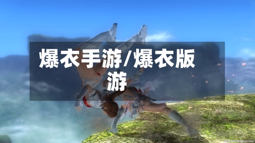 爆衣手游/爆衣版游-第2张图片