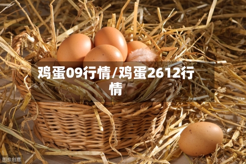 鸡蛋09行情/鸡蛋2612行情-第2张图片