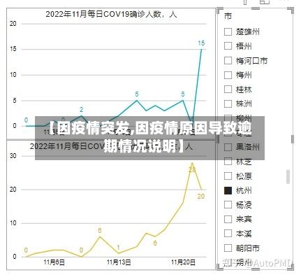 【因疫情突发,因疫情原因导致逾期情况说明】-第2张图片