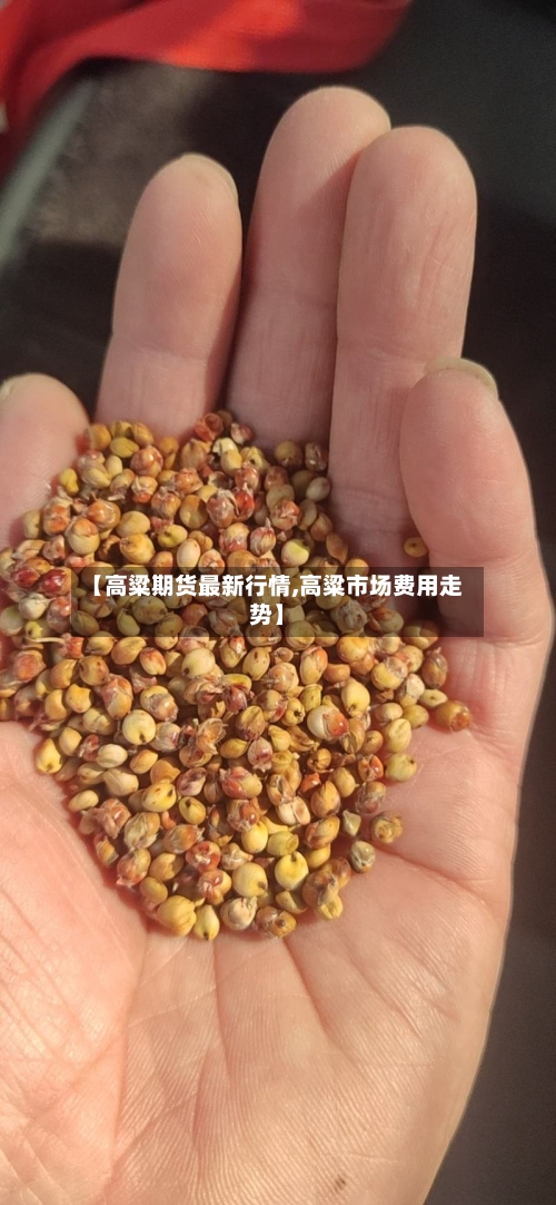 【高粱期货最新行情,高粱市场费用走势】