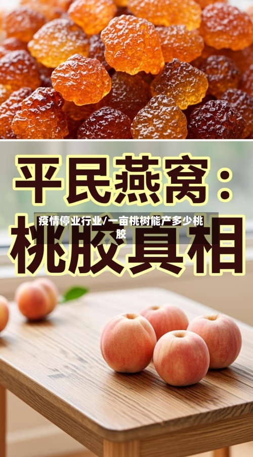 疫情停业行业/一亩桃树能产多少桃胶