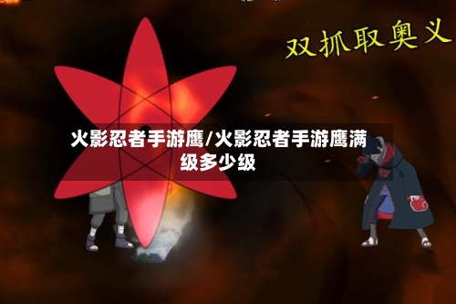 火影忍者手游鹰/火影忍者手游鹰满级多少级-第2张图片