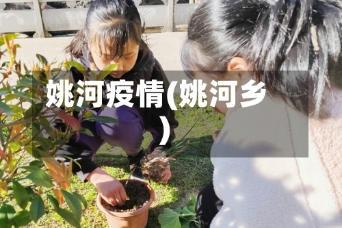 姚河疫情(姚河乡)-第2张图片