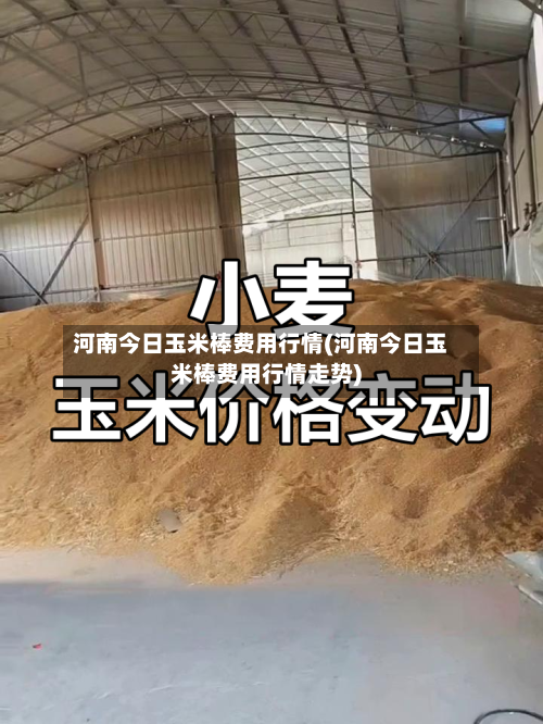 河南今日玉米棒费用行情(河南今日玉米棒费用行情走势)