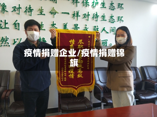 疫情捐赠企业/疫情捐赠锦旗