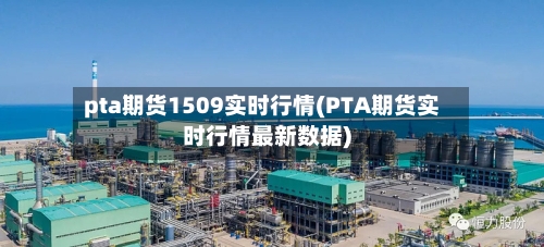 pta期货1509实时行情(PTA期货实时行情最新数据)