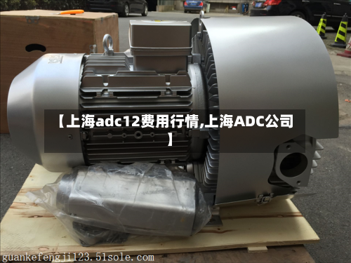 【上海adc12费用行情,上海ADC公司】-第2张图片