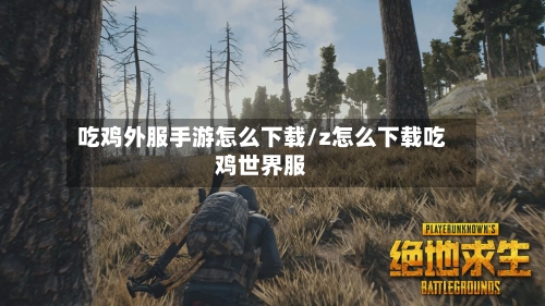 吃鸡外服手游怎么下载/z怎么下载吃鸡世界服