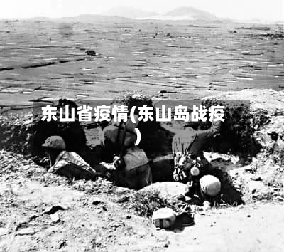 东山省疫情(东山岛战疫)